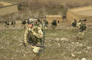 504thviper13mar03.jpg