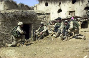 504thviper3mar03.jpg