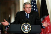bush77777.jpg