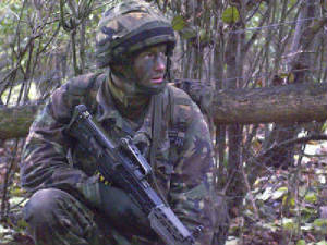 harry11a.jpg