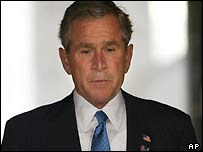 _39587733_bush.jpg