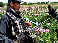 _41443707_poppyfield_203bap.jpg
