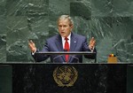 bush.jpg
