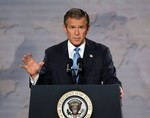 bush6.jpg