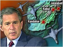 bush_strike.jpg