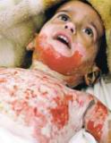 child3.jpg