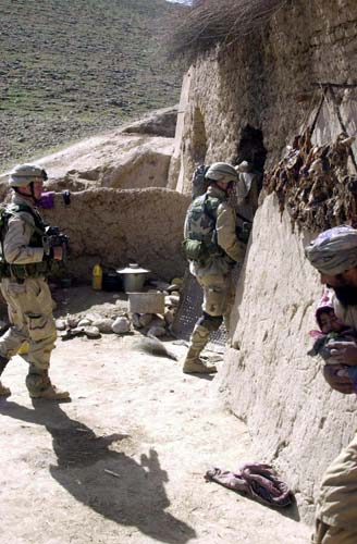 operation_viper_5.jpg
