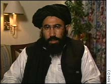 zaeef.jpg